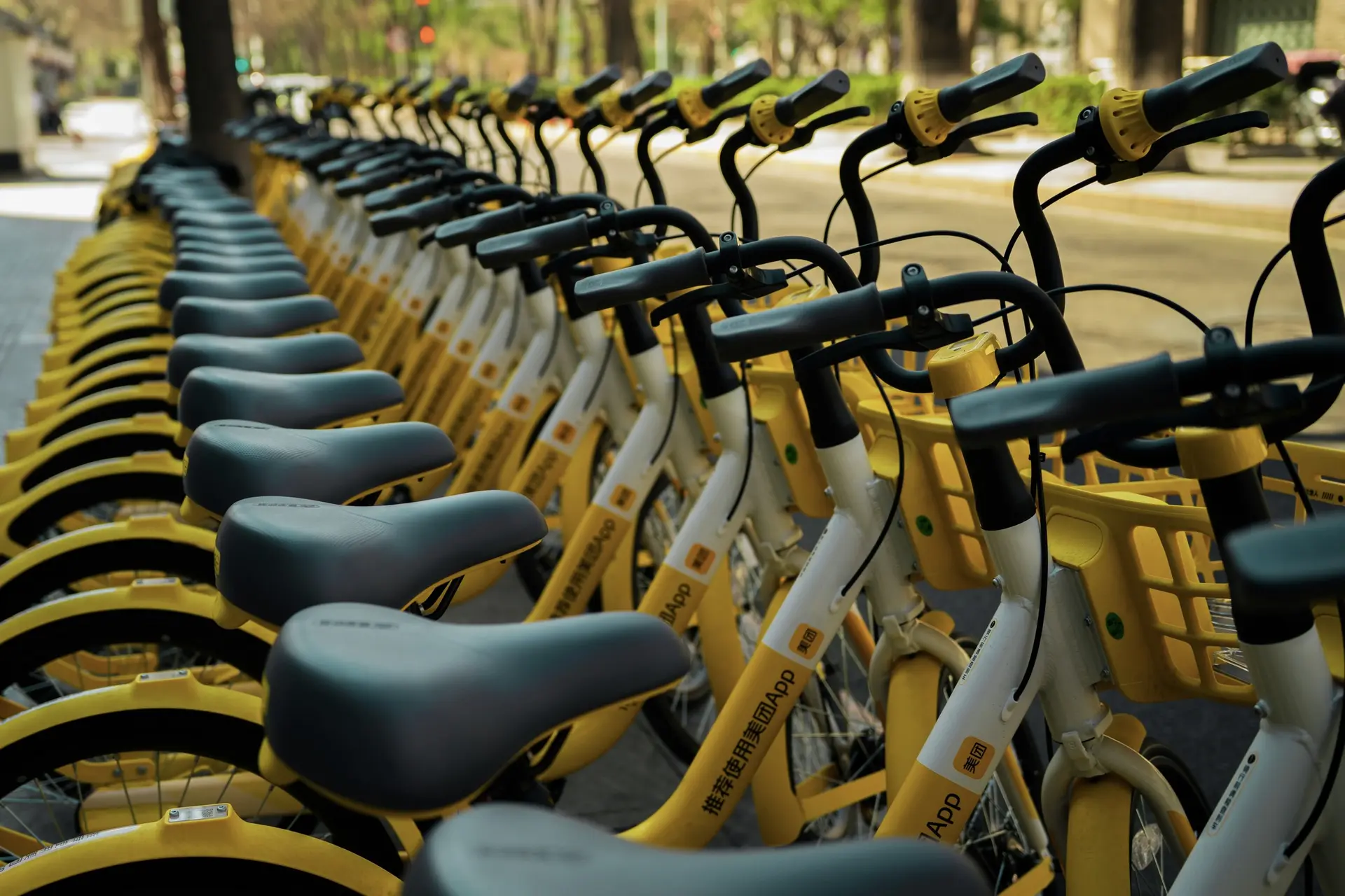 How to Rent Bikes in China: A Complete Guide to Urban Bike-Sharing and Rural Cycling (2026)