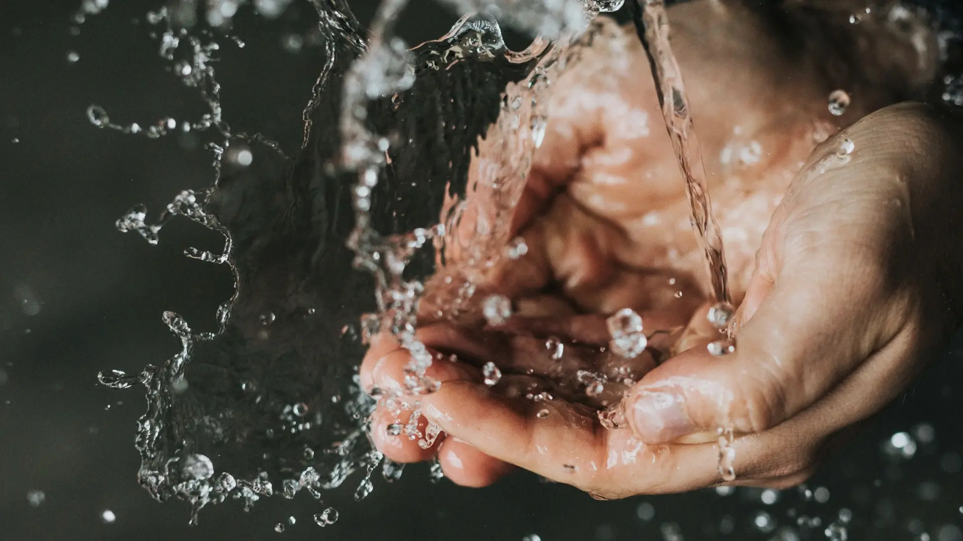 Wilderness Hazards, Water Sanitation & Digital Survival: A Safety Guide for Western China