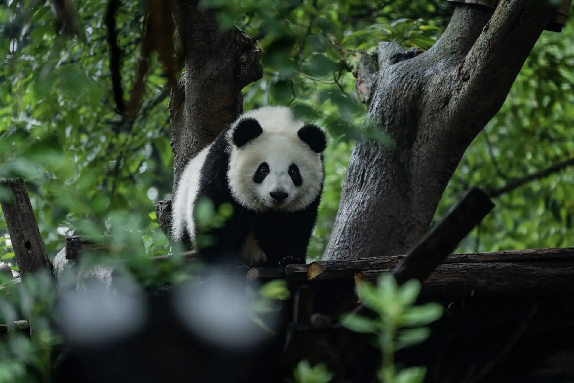 City of Chengdu Staging Post