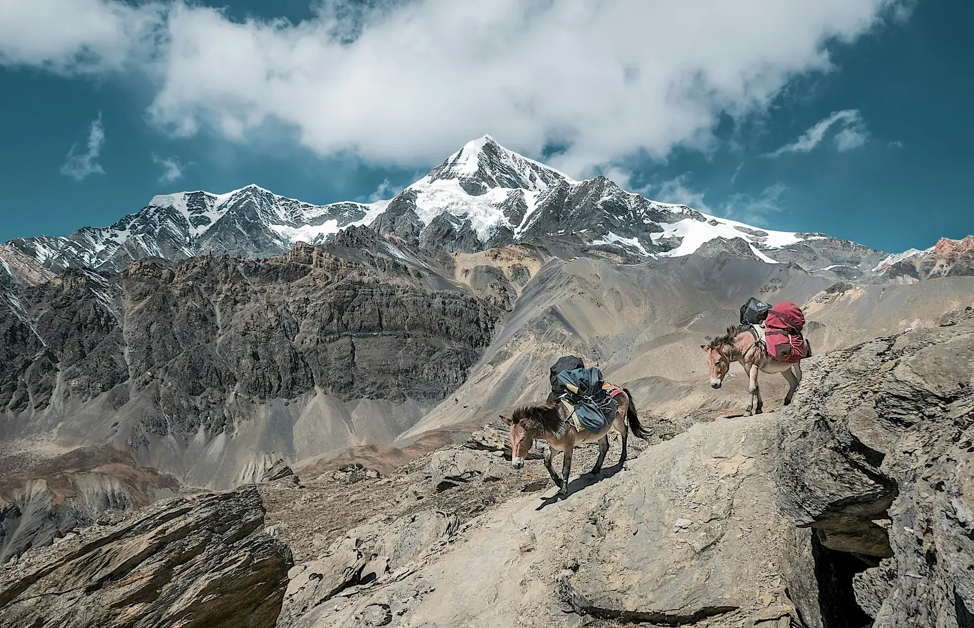 China Alpine Alert (Peak Summer Season): Navigating 'Chang-Bi Trail Dynamic Closures' & High-Altitude Permit Regulations