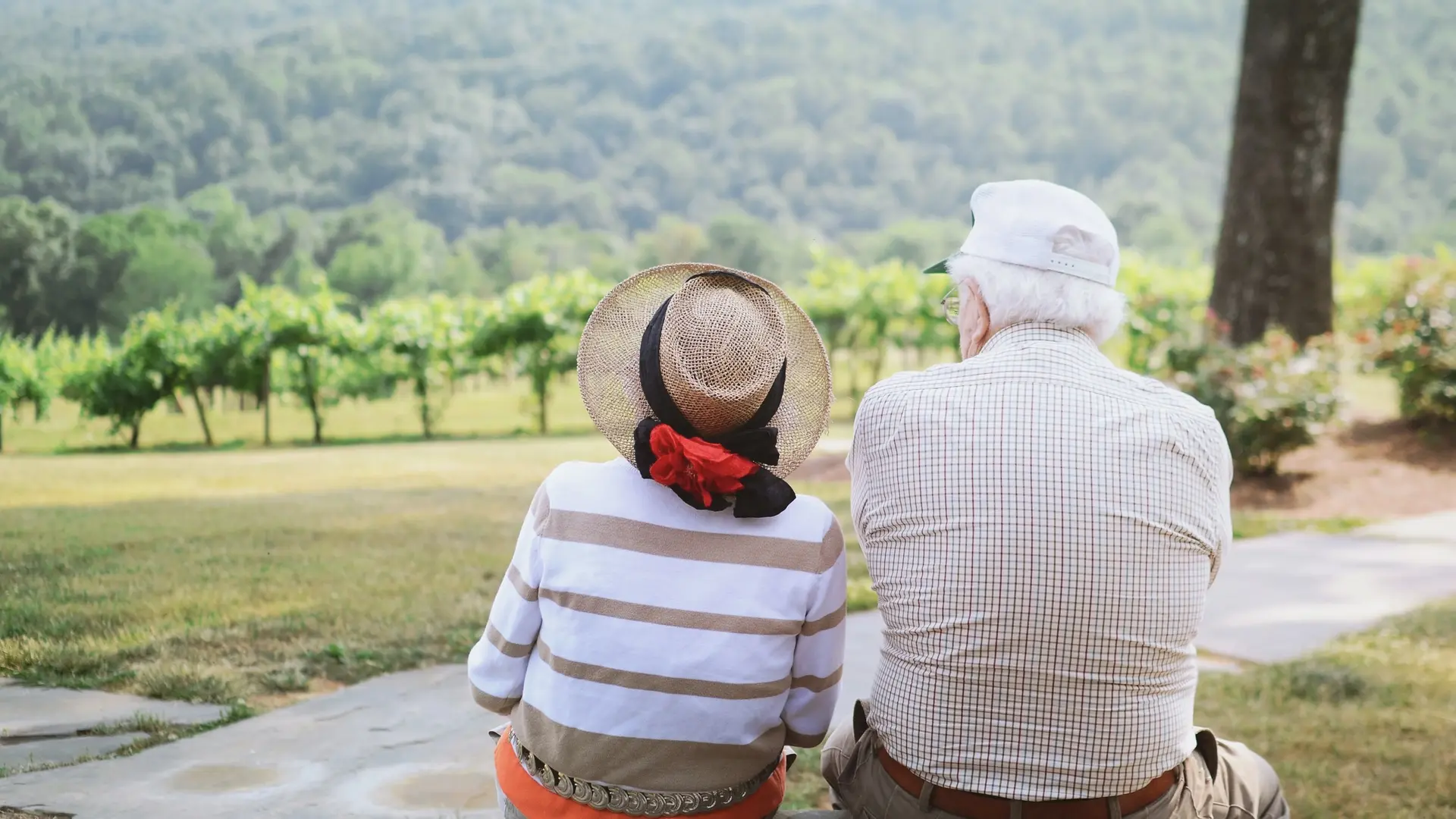 China Accessibility & Senior Travel Survival Guide (2026): A Field Briefing for Elderly and Disabled Explorers