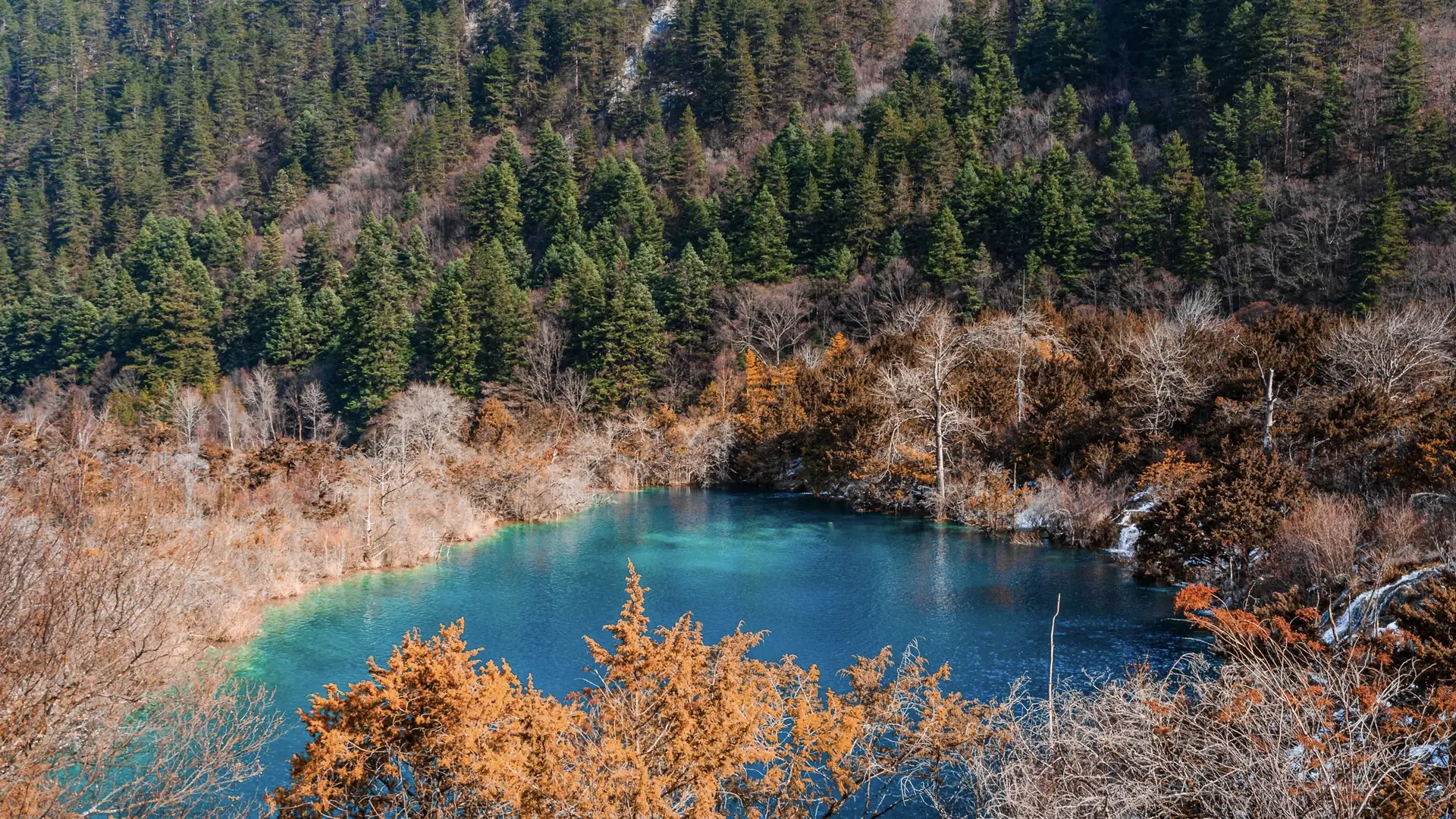 Chengdu to Jiuzhaigou Bullet Train Guide (2026): Timetables, Booking & Station Transfers