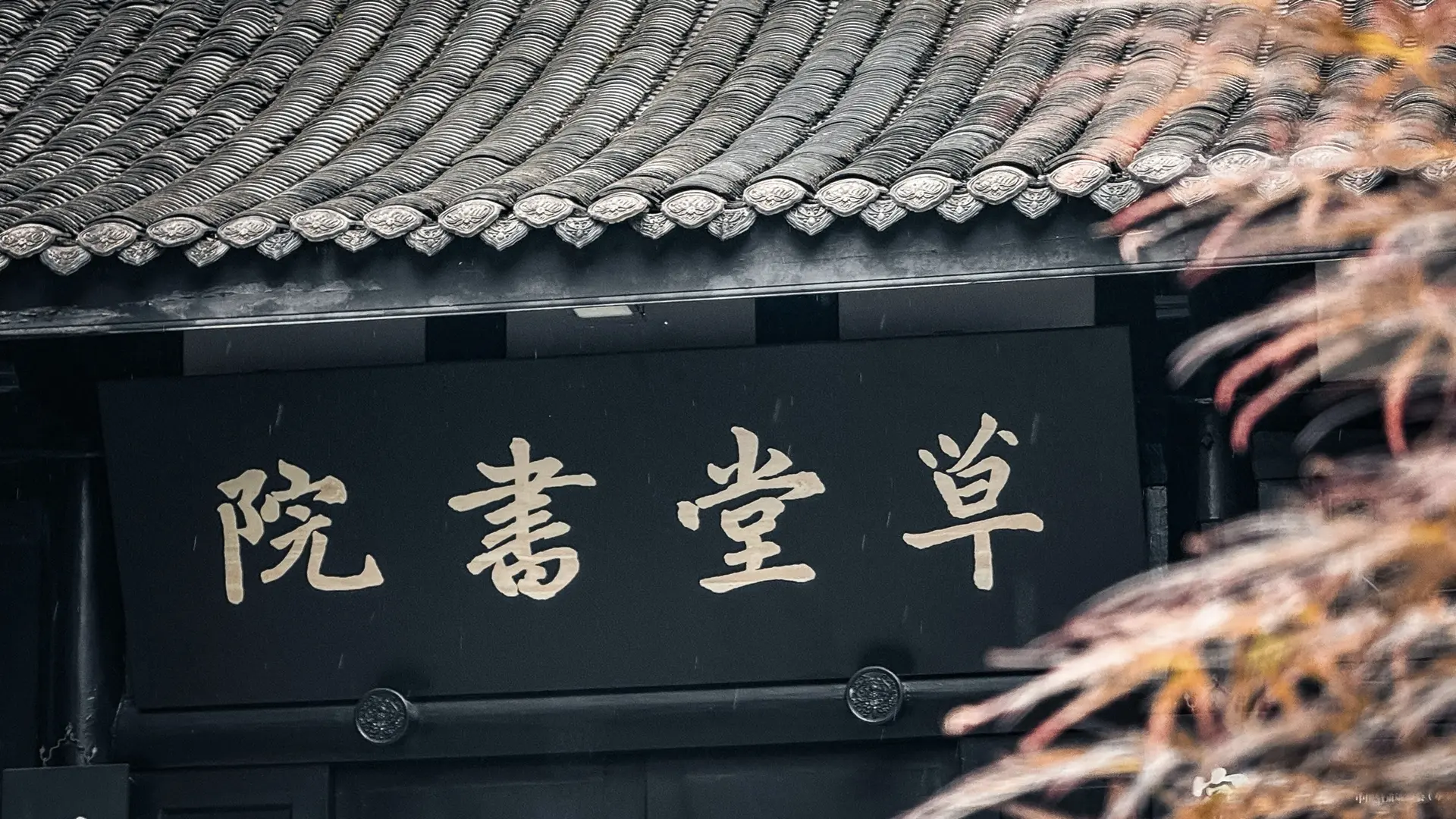 Chengdu Ground Transport Guide for Foreigners 2026: Didi, Subway, HSR Stations & Rain-Day Survival