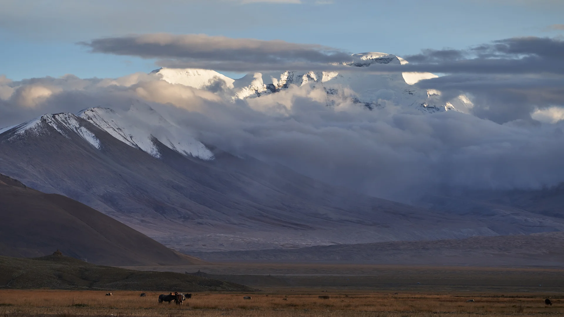 Tibet TAR