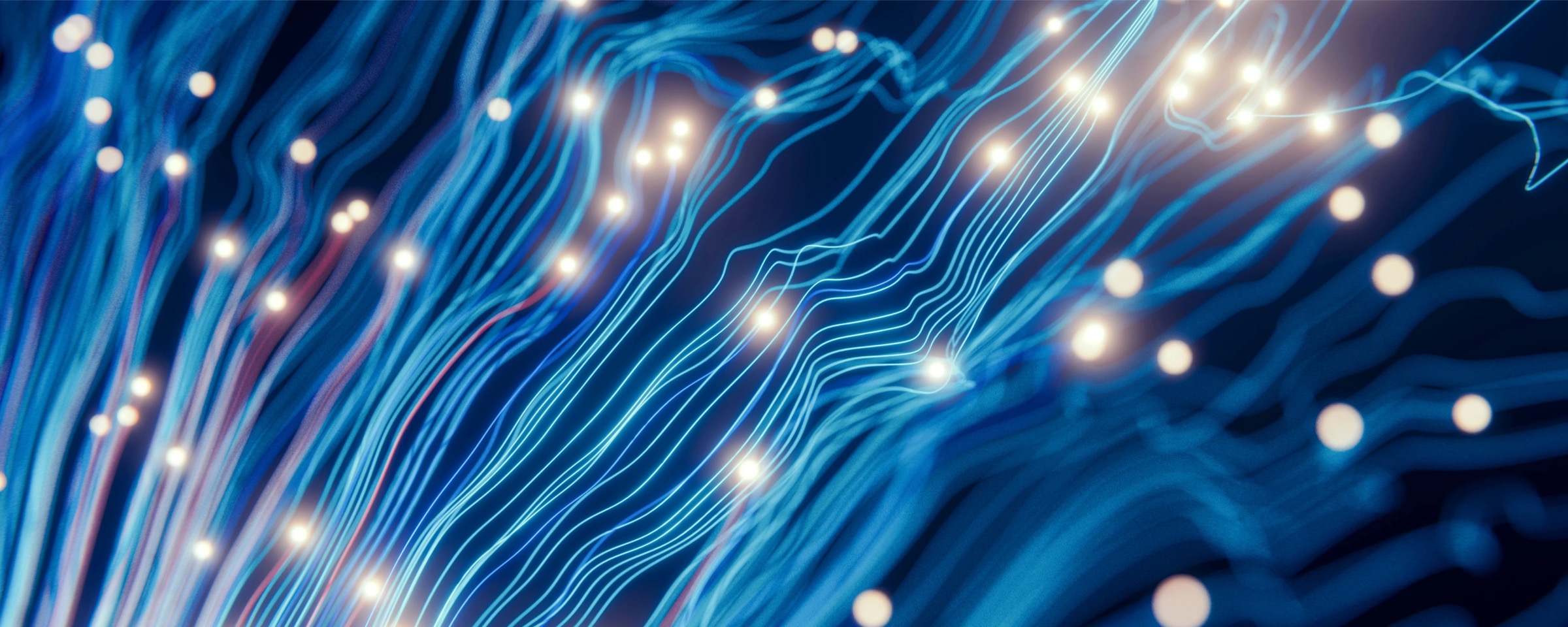 Digital Asset Usage & AI Licensing Agreement