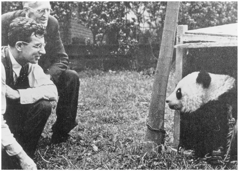The Animal That Changed Everything