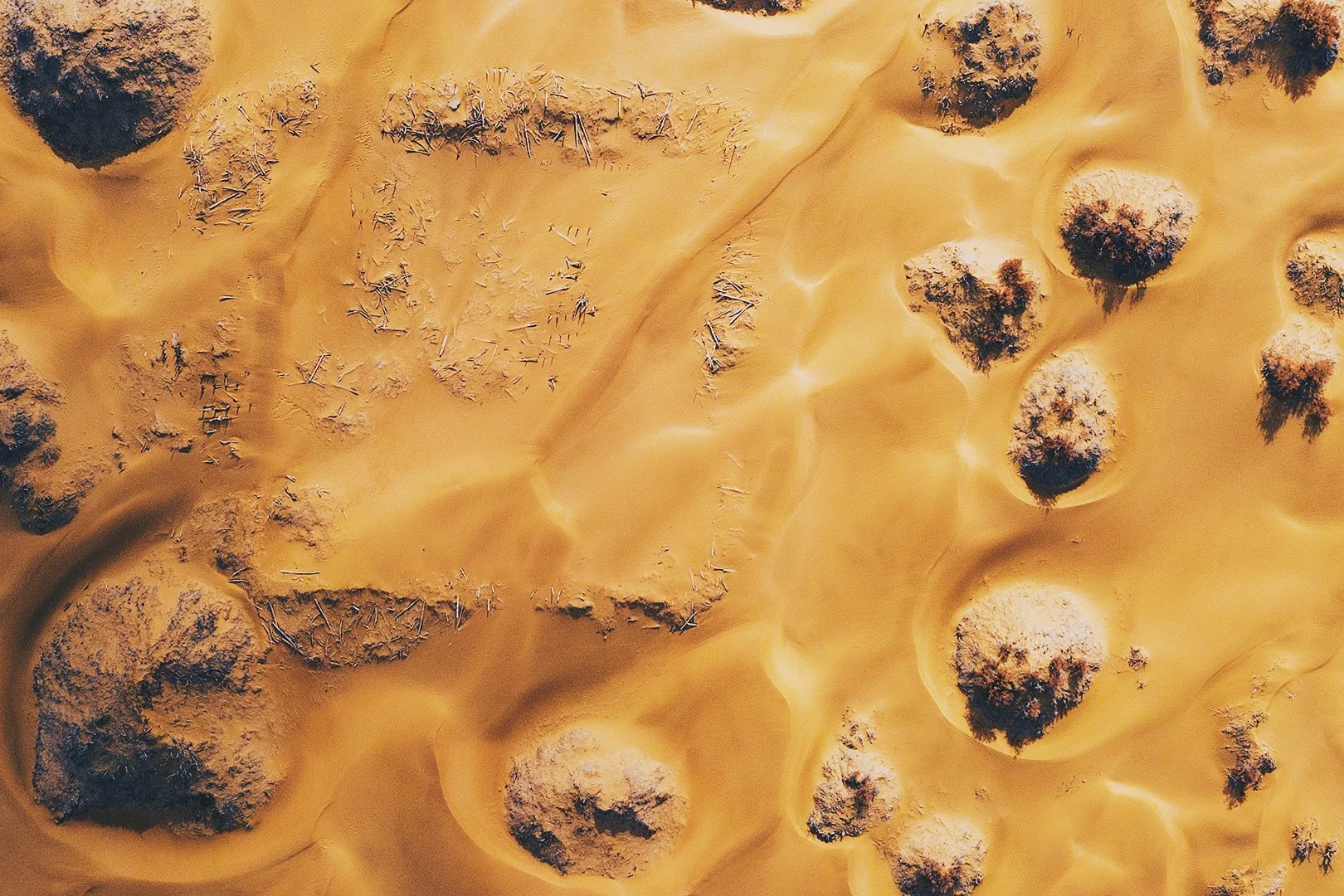 Taklamakan Desert Oasis
